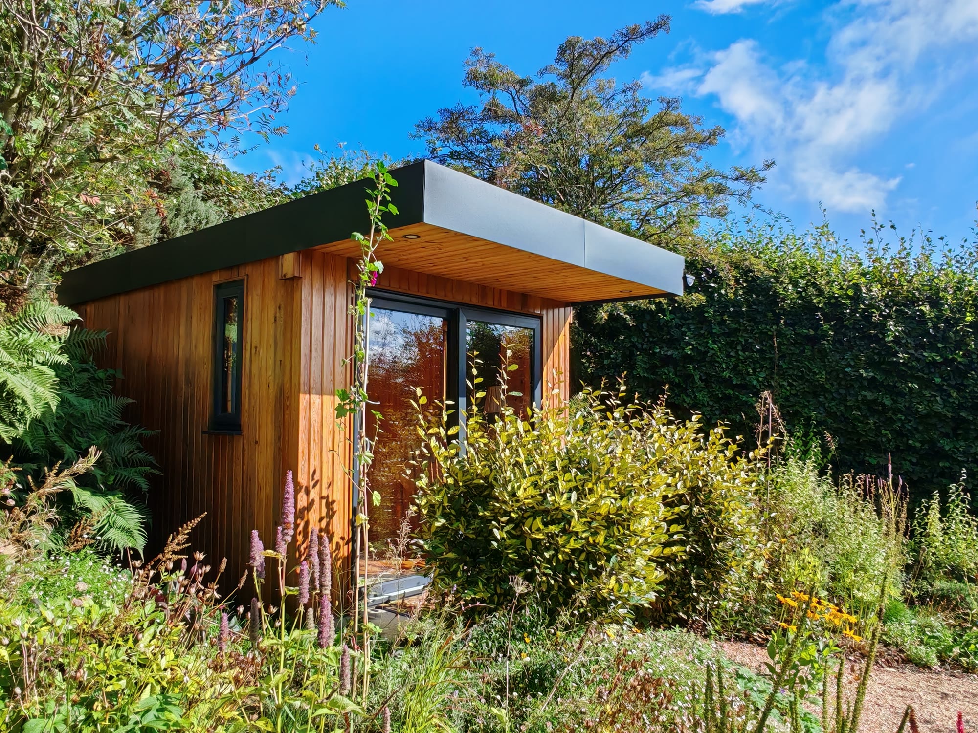 The woodland sauna building surrounded by planting at Yellow Rock Sanctuary